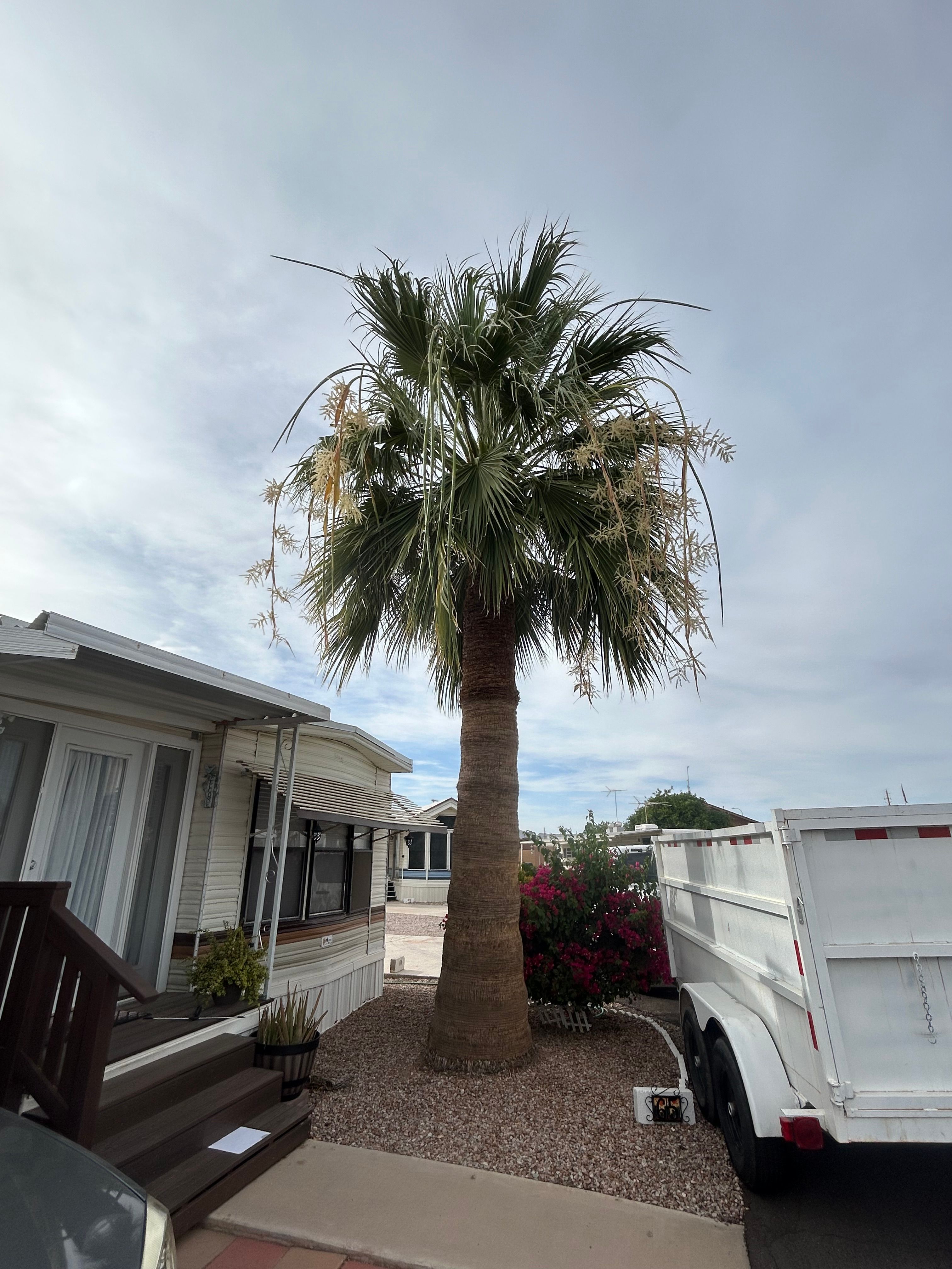  for Copperhead Solution in Phoenix, Arizona