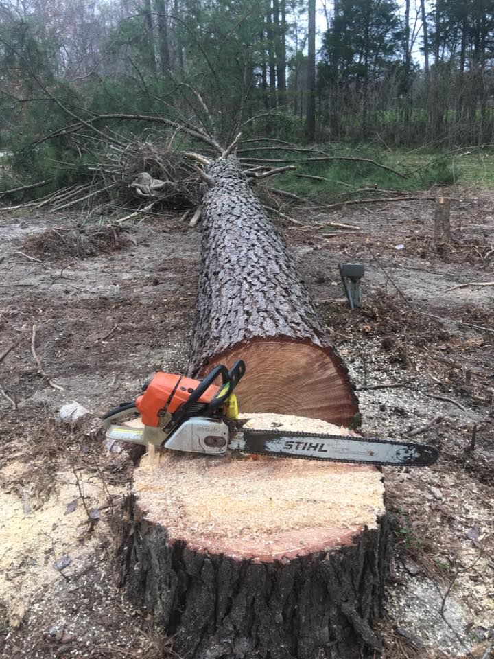 Tree Removal for Hoss Tree Works & Logging in Durham, NC