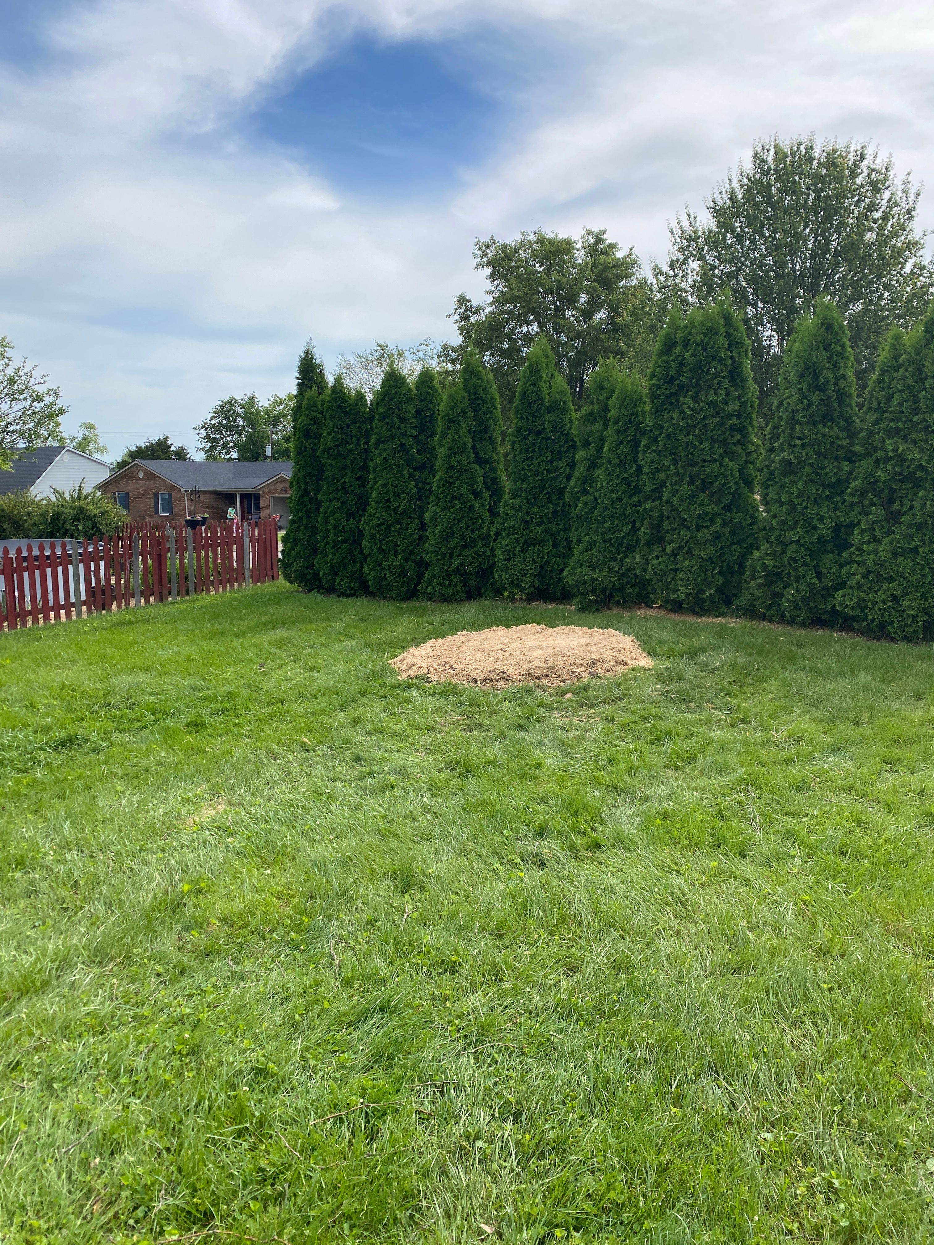 All Photos for Houtz Tree Service in Lexington, KY