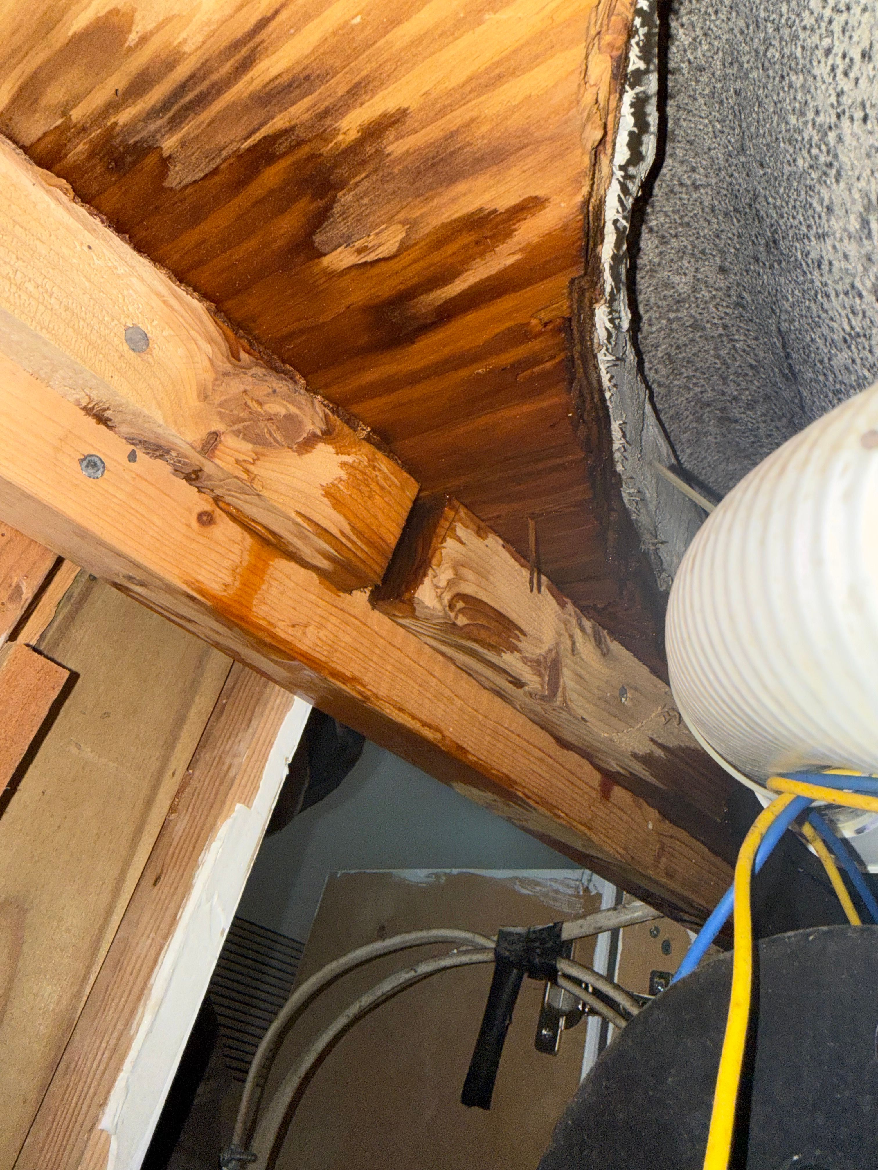  for Surplus Public Adjusters in Miami-Dade County, FL