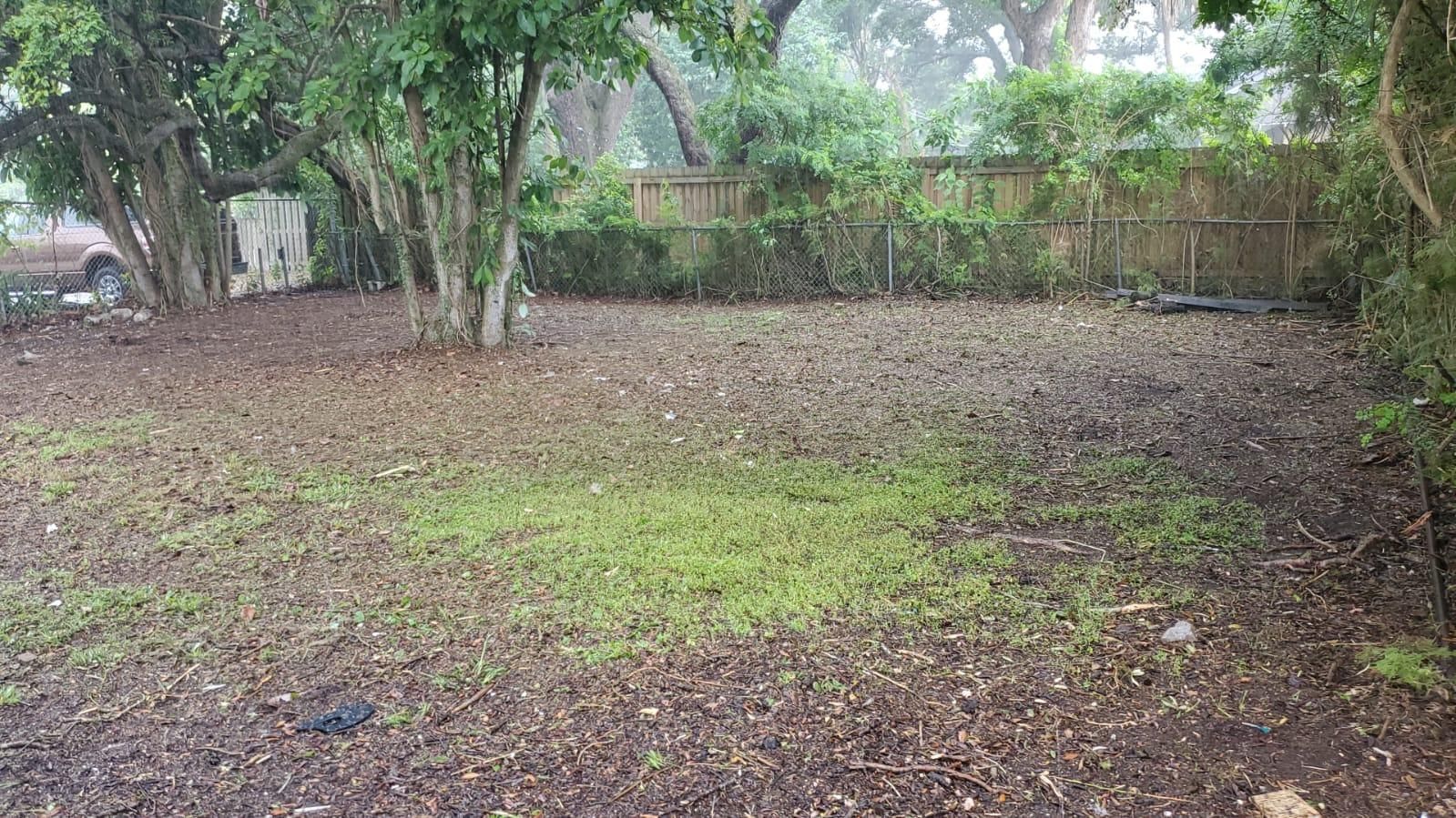  for 1 Friendly Lawn Service in Tampa, FL