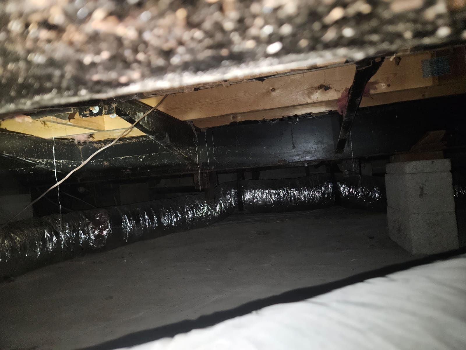  for N&D Restoration Services When Disaster Strikes, We Come In in Cape Coral,  FL