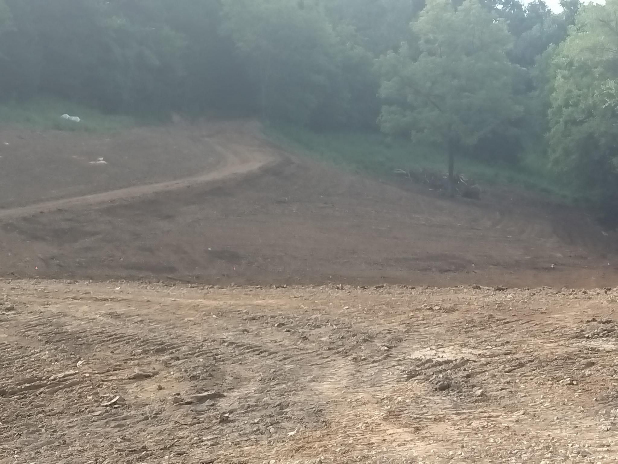All Photos for King of Dirt in Cornersville, TN