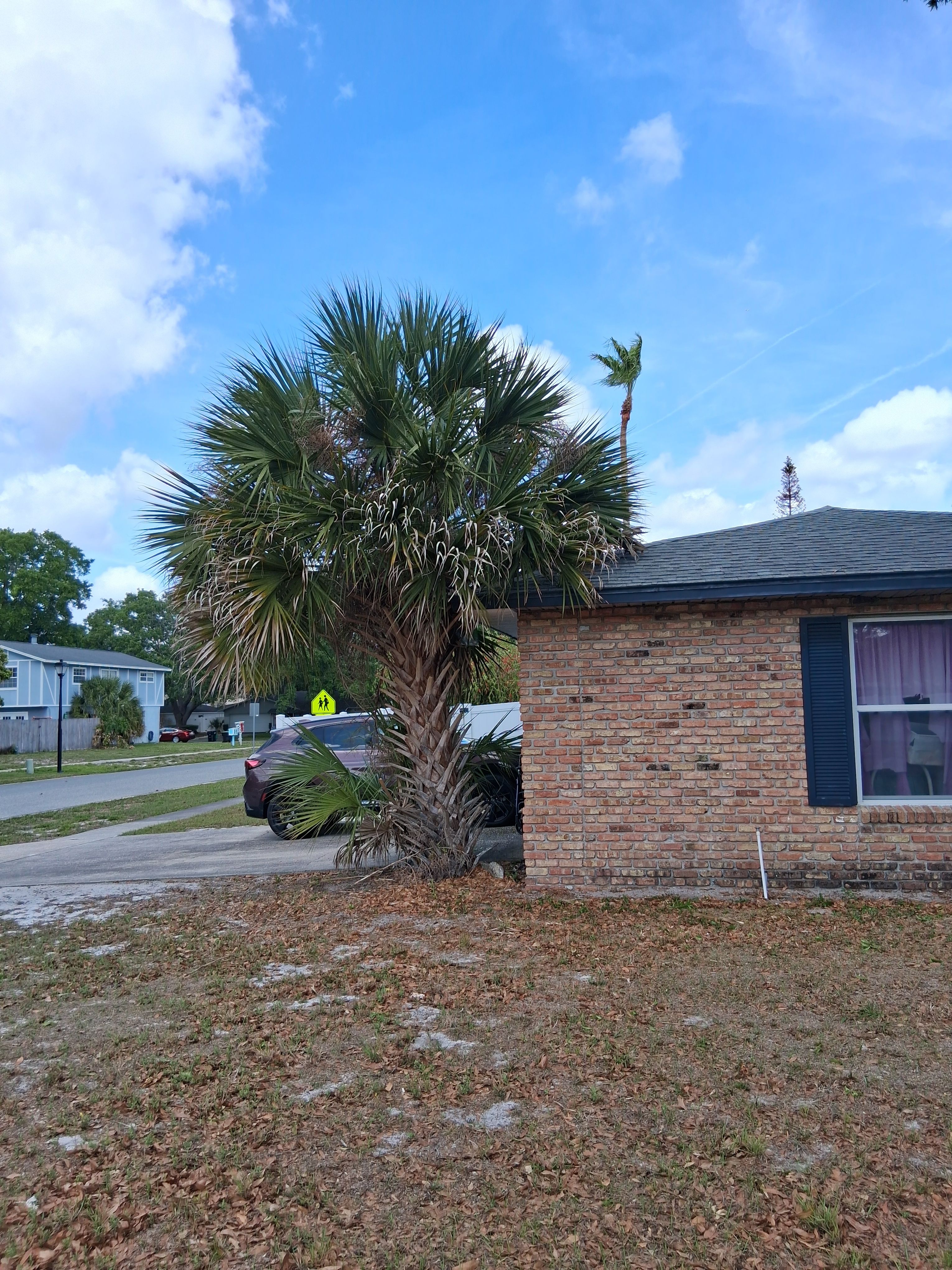  for A Southern Style Tree Service in Orlando, FL