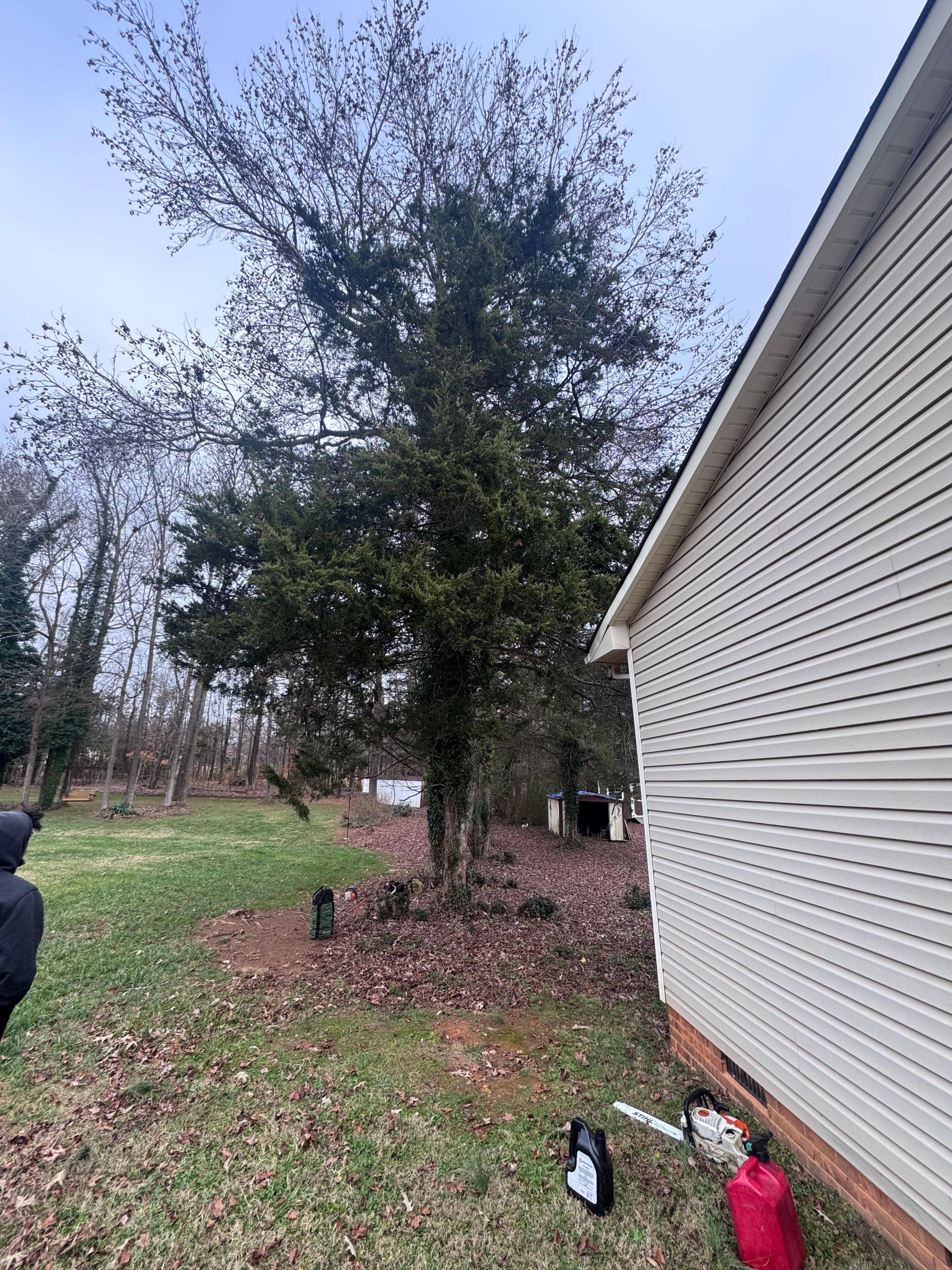 Tree Removal for Diversified Tree Company in Trinity, NC
