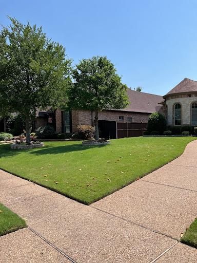  for Imber’s Tree Service LLC in Arlington, TX