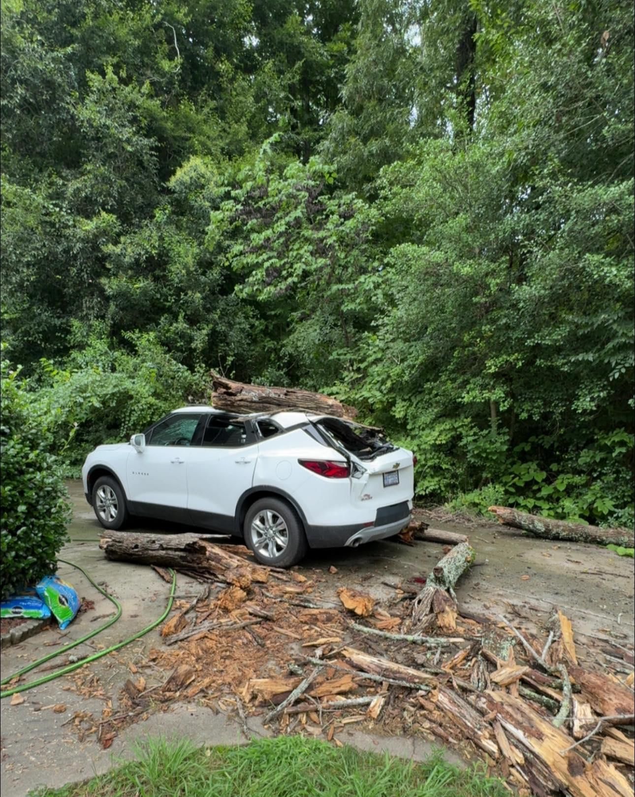  for Piedmont Lawn and Landscaping in Lexington, NC