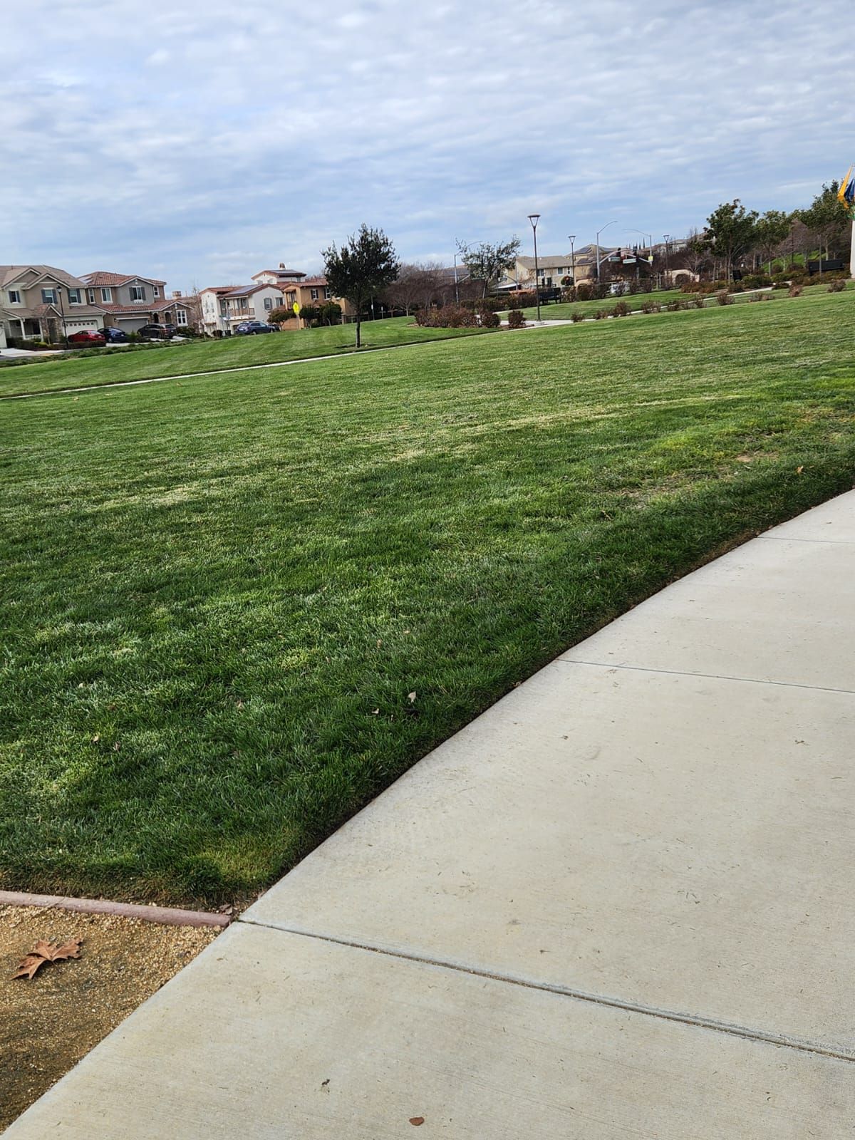  for Vargas LANSCAPE LLC in Stockton, CA