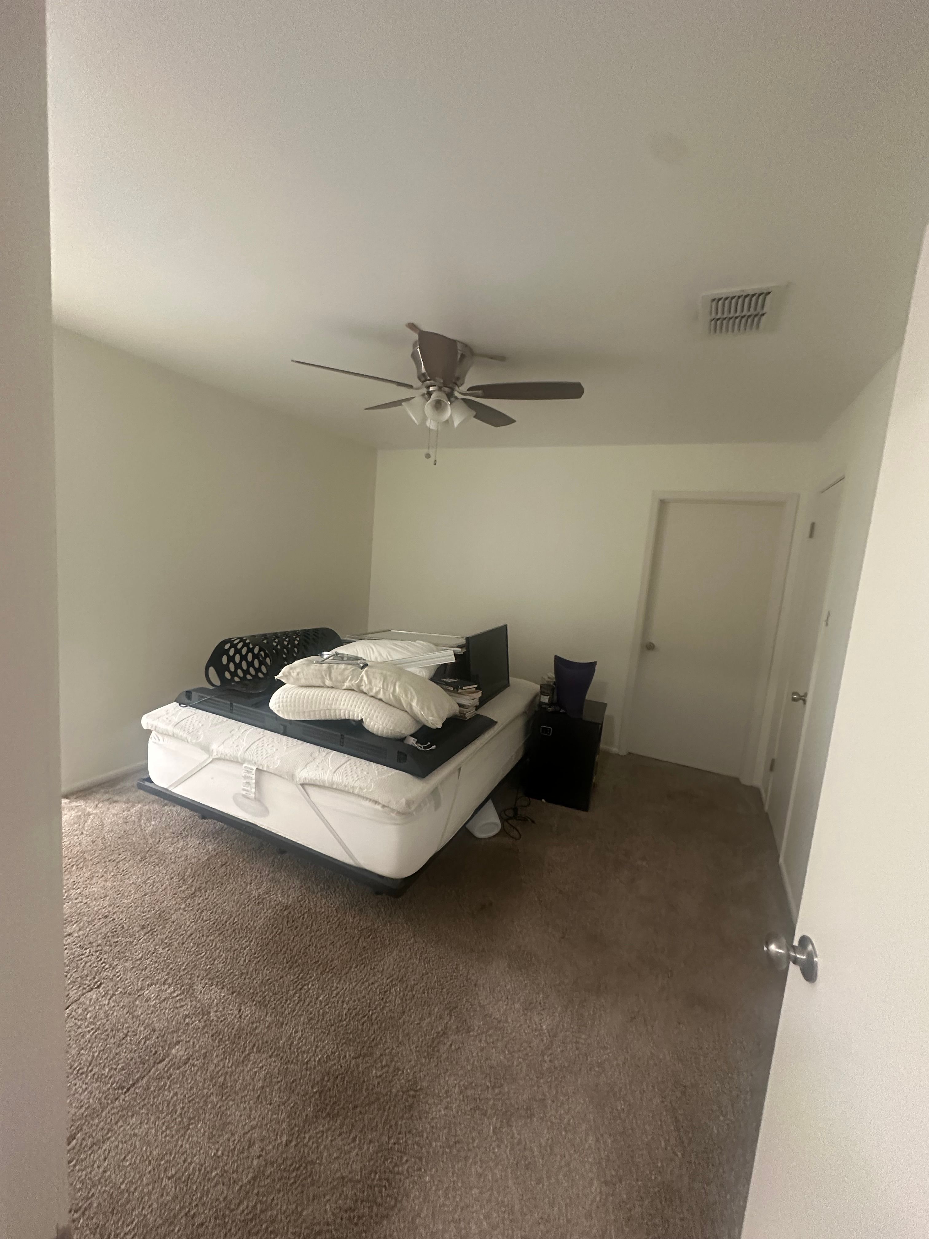  for GEOS Painting in New Braunfels, TX