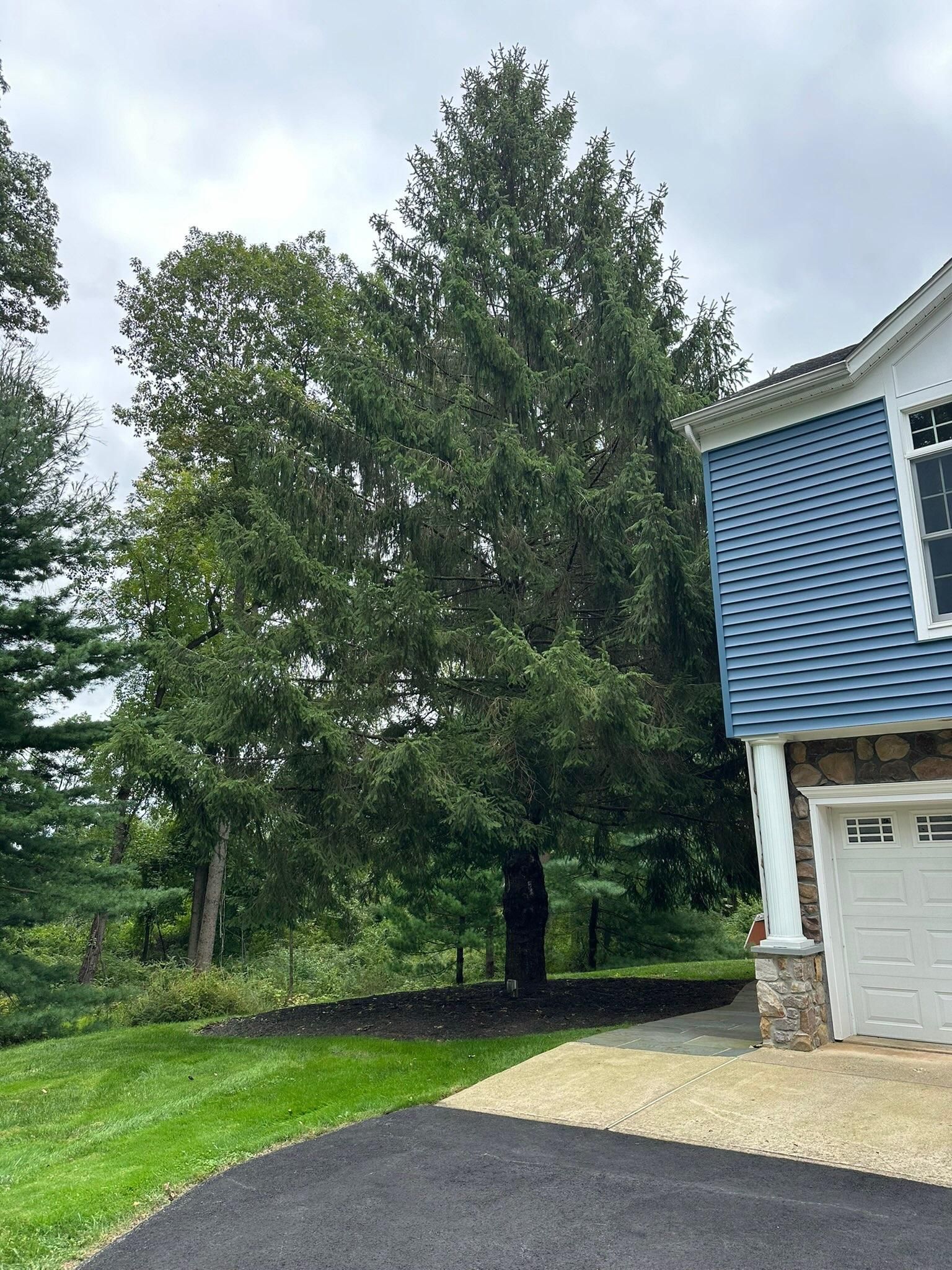  for Unique Outdoor Lighting in Short Hills, NJ