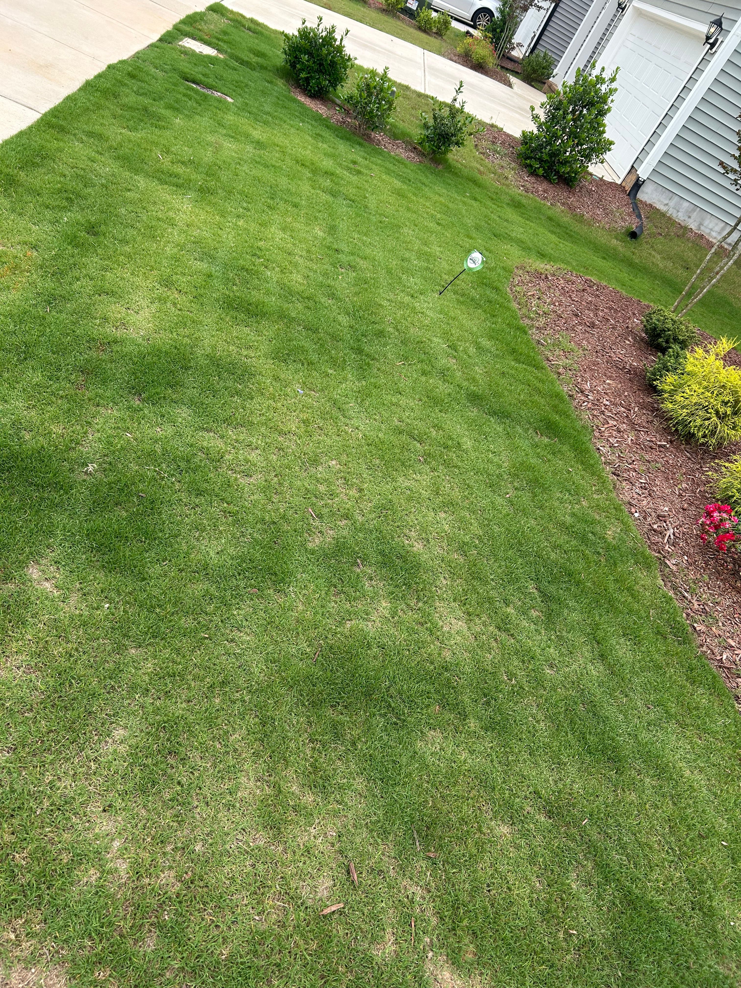  for Everett Lawn Care in Raleigh, NC