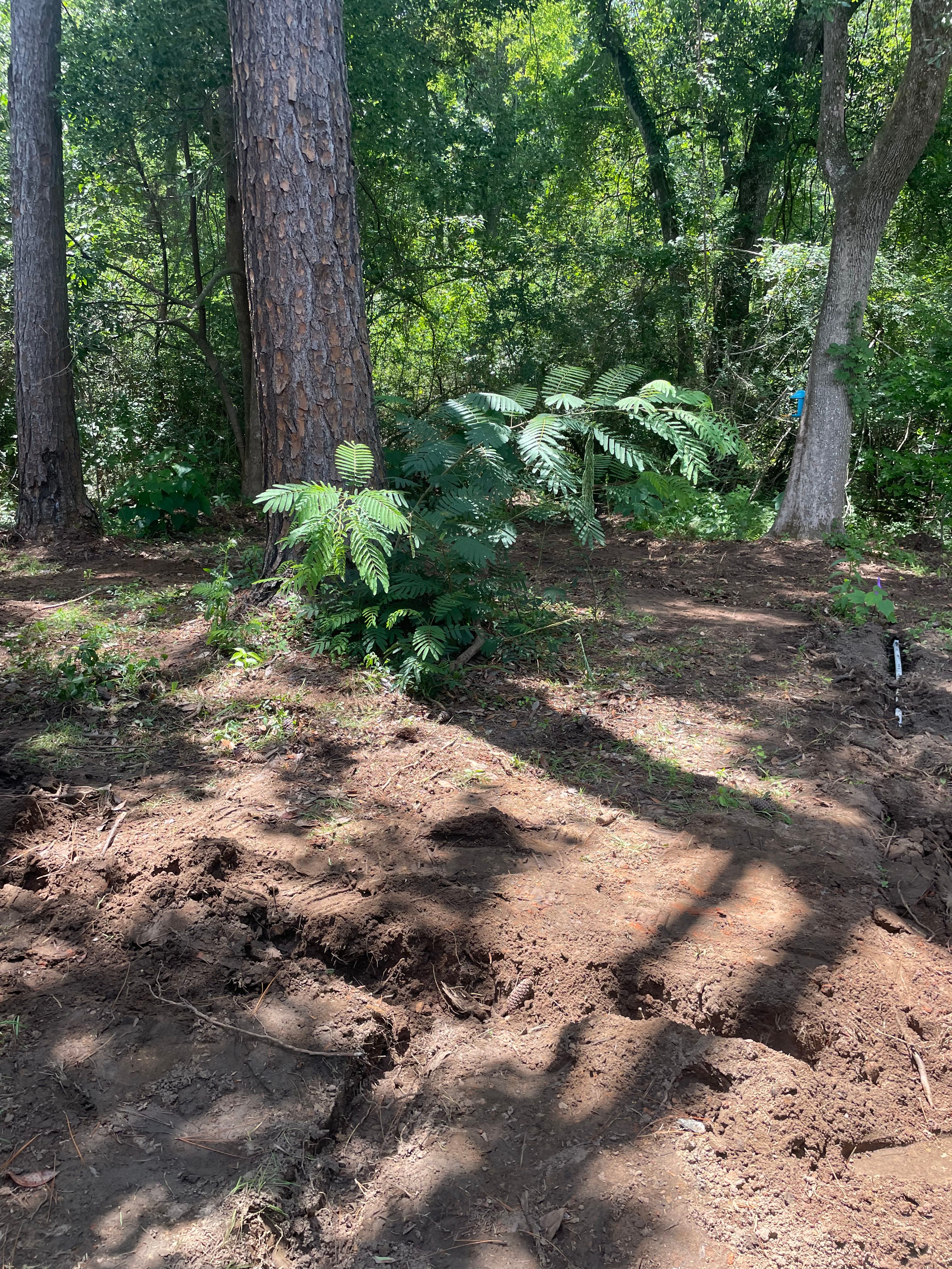  for Enhanced Landscape in Daphne, AL