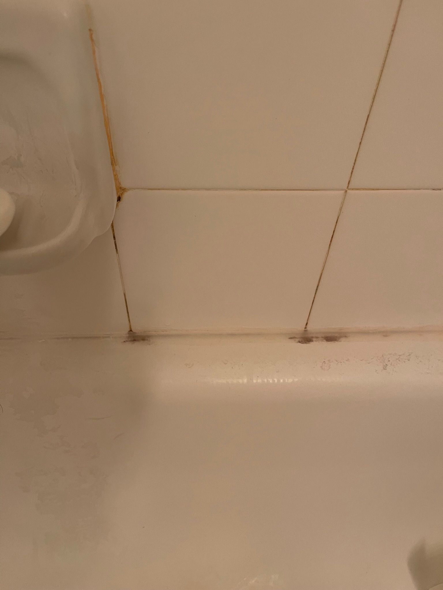  for Tony's Remodeling & Painting in Renton, WA