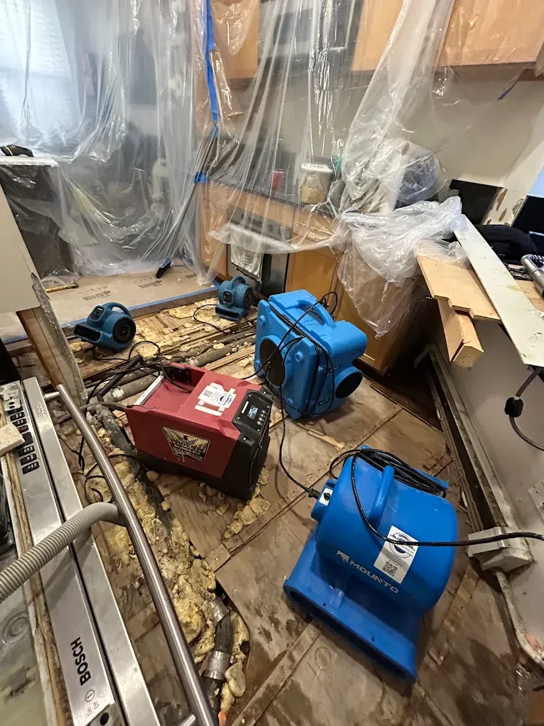  for CertaClean Restoration in Yonkers, NY
