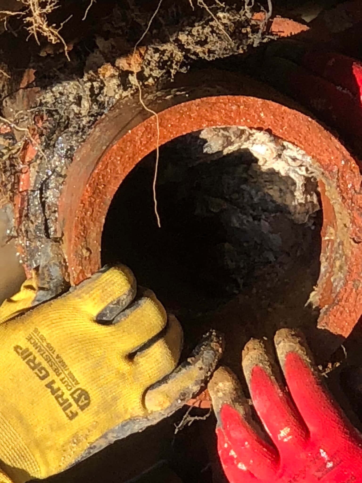  for Drain Pro Plus in Essex, MD