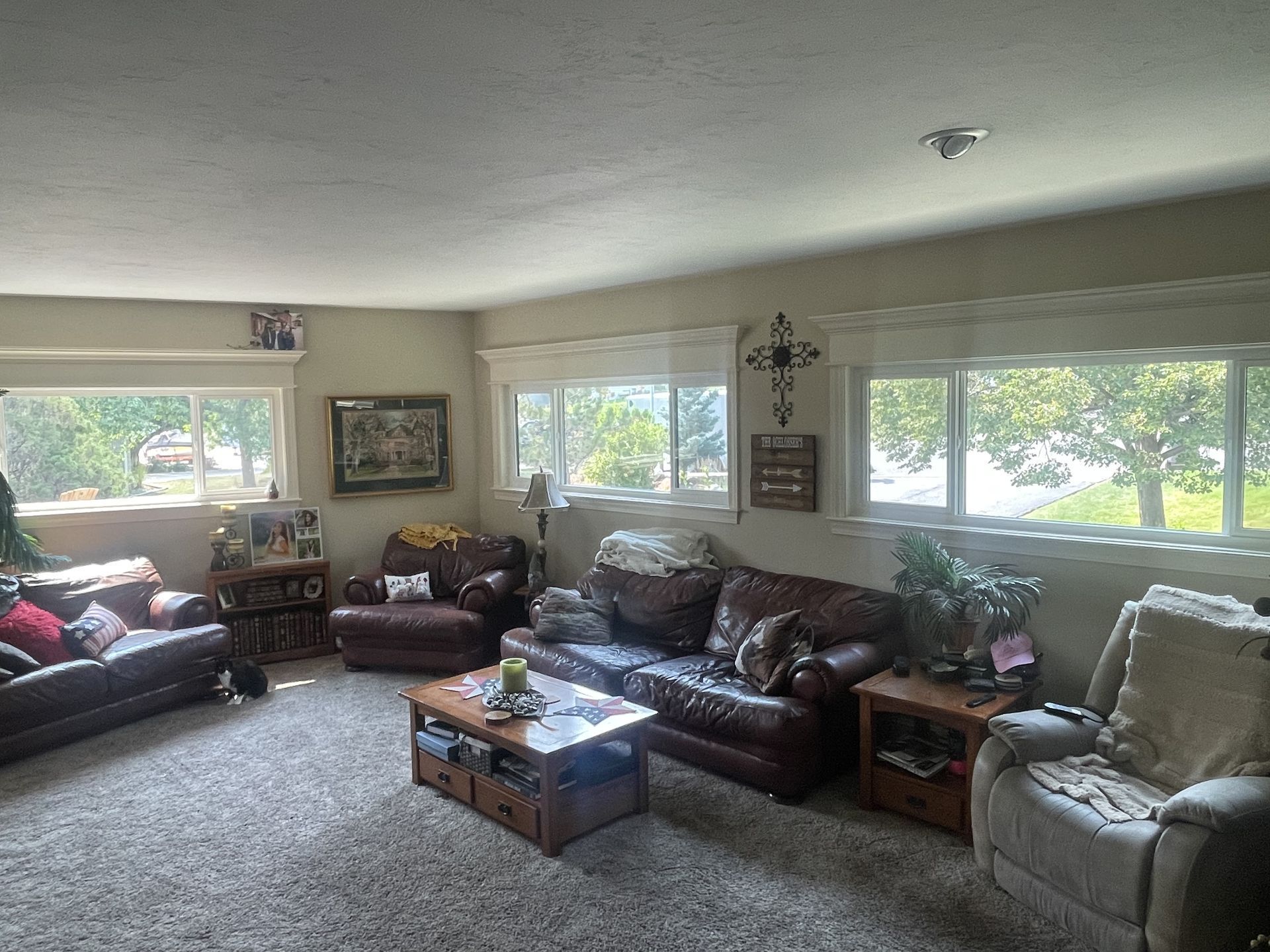  for Vivid Windows in Centerville, UT