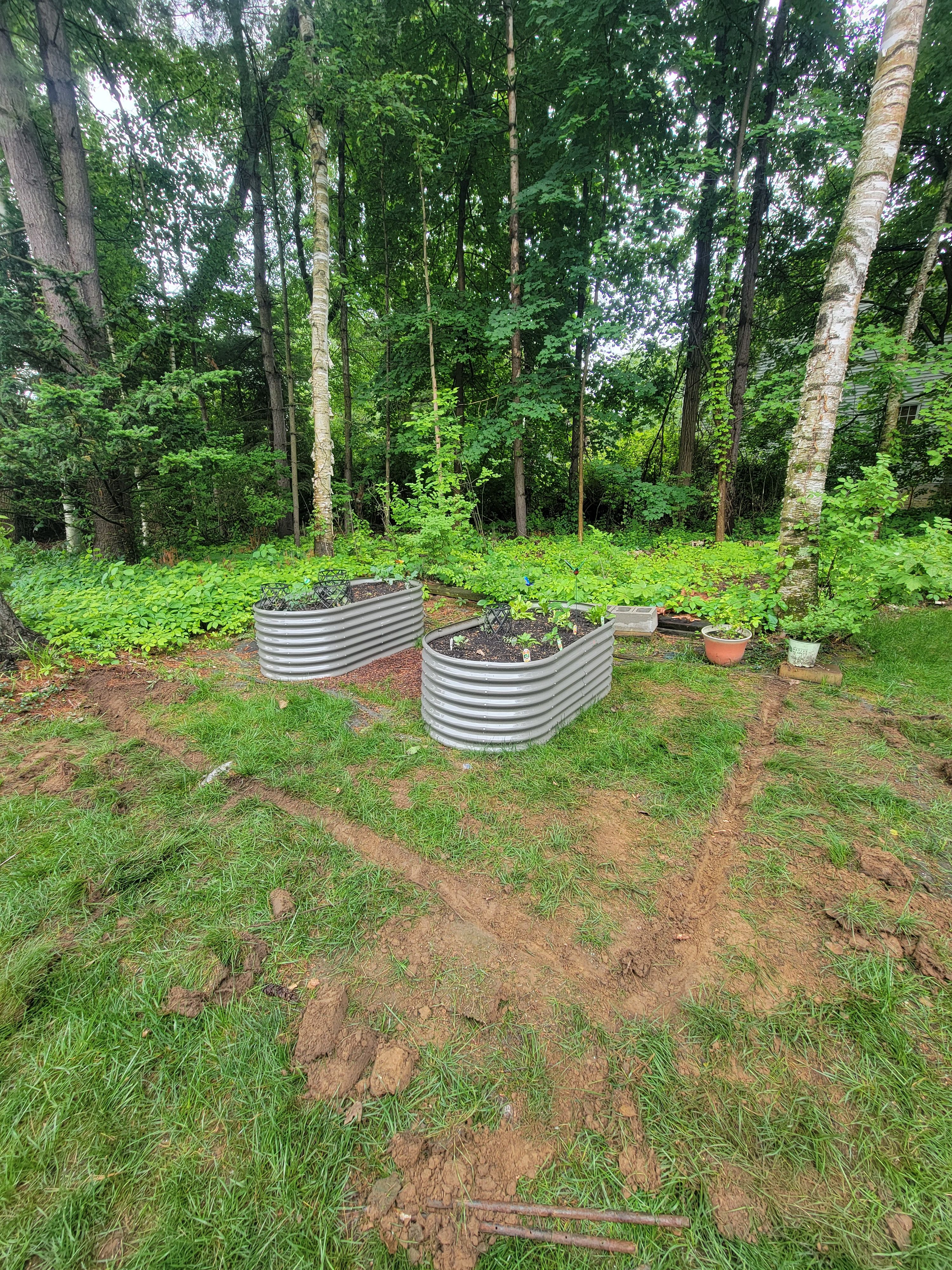 for Sweet Scapes in Ballston Spa, NY