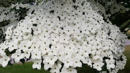  for Evolution Earthscapes, LLC in Ludlow, MA