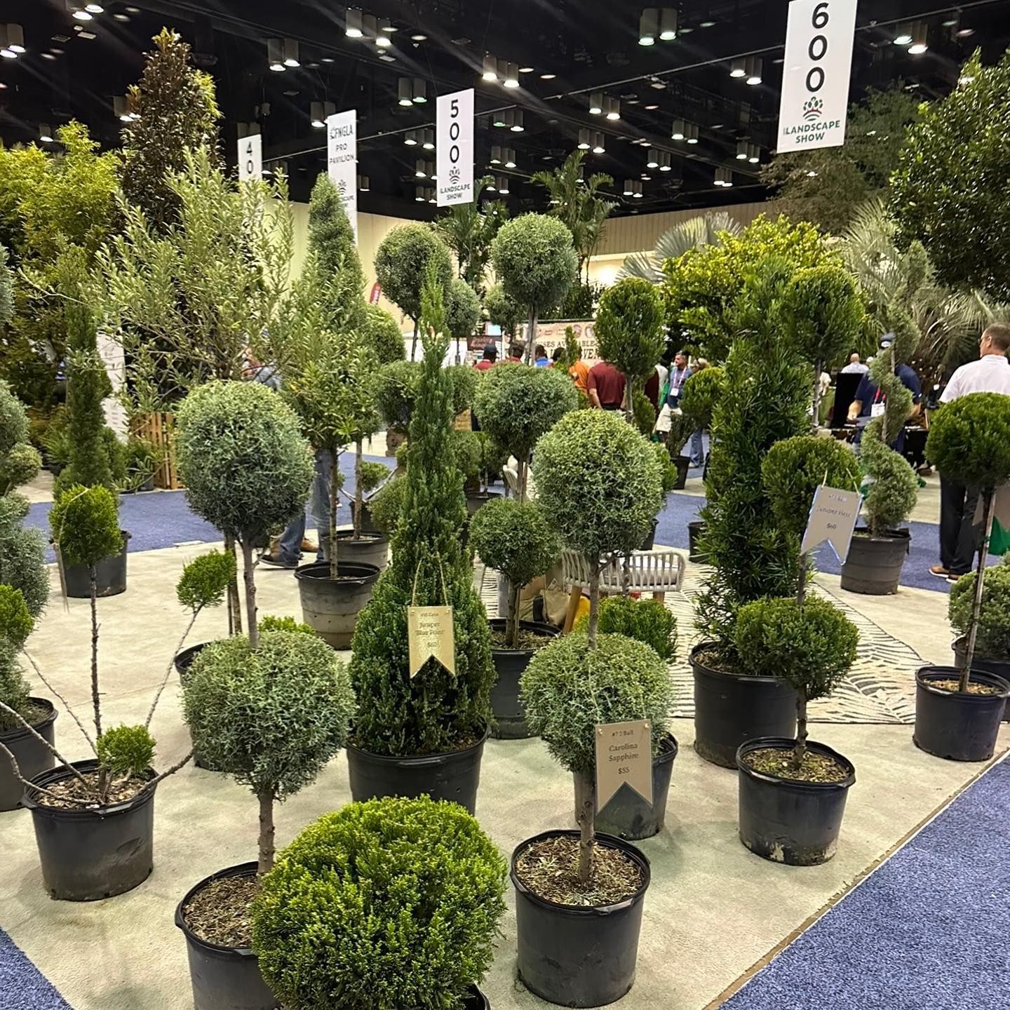 All Photos for GS Lawn & Landscape in Clearwater, FL