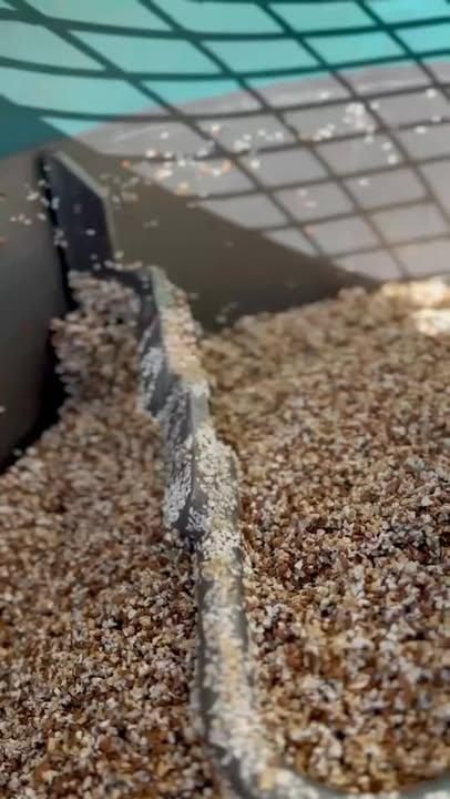  for TEX STONE Resin & Epoxy Coatings in San Antonio, TX