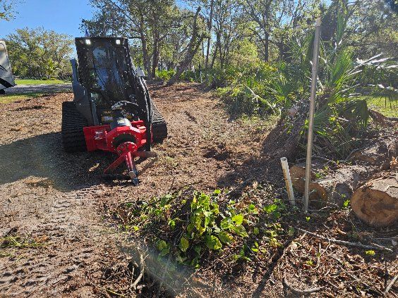  for Bay Area Bobcat in Riverview, FL