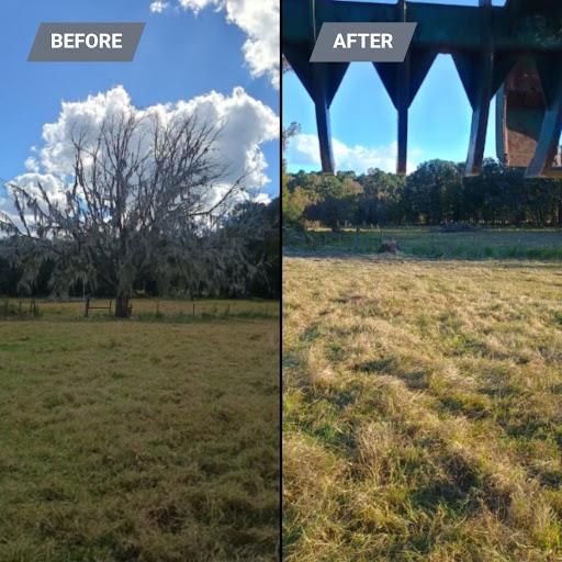 All Photos for Asbell's Tree & Land Services in Gilchrist County, FL