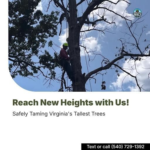  for Ricky's Tree Service & Property Care in Orange, VA