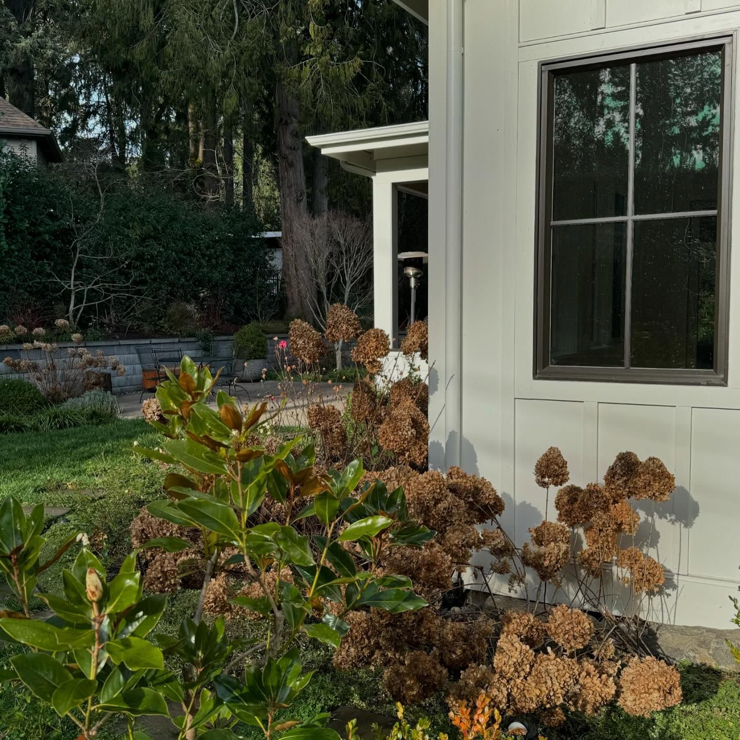  for Courtney Lewis Landscape Design in Portland, OR