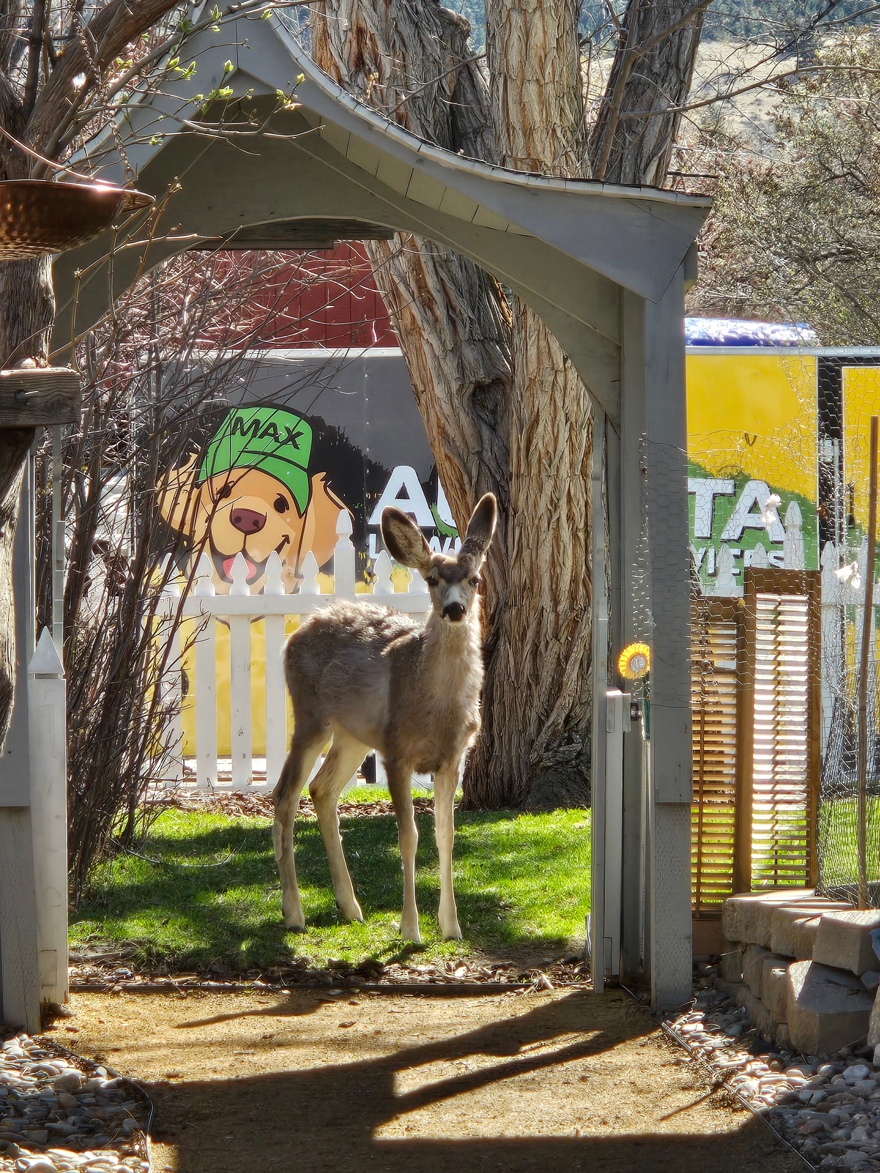  for Eagle Bay is Proud to Transition to Augusta Lawn Care of Helena in Helena, MT