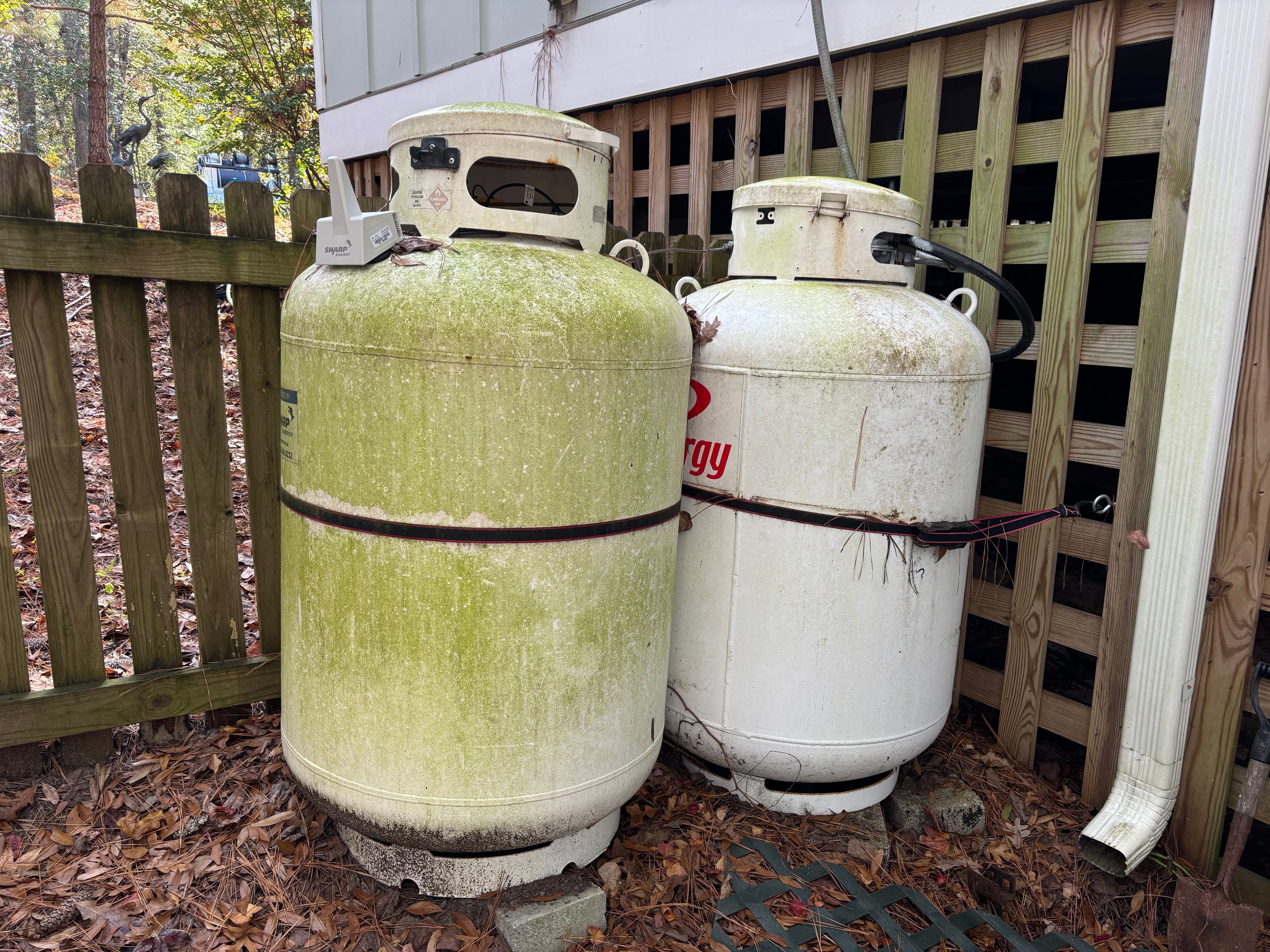  for Living Stream Pressure Washing in Wilmington, NC