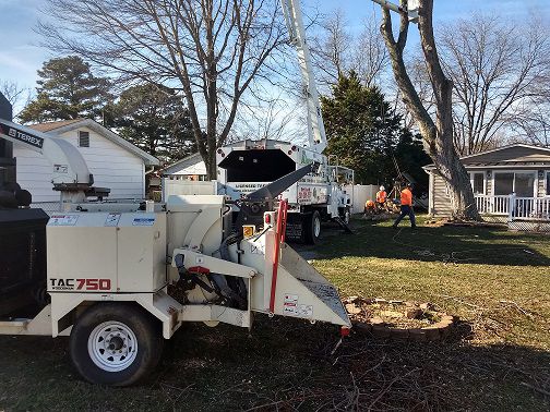 Tree Removal for Alexander's Tree Service  in Newburg,  MD