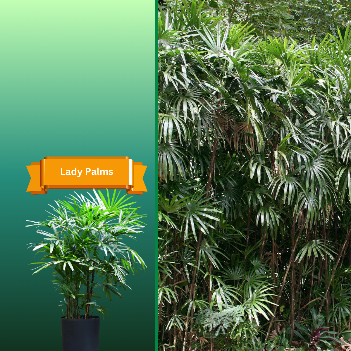  for R.B. & Company in Belleview, FL