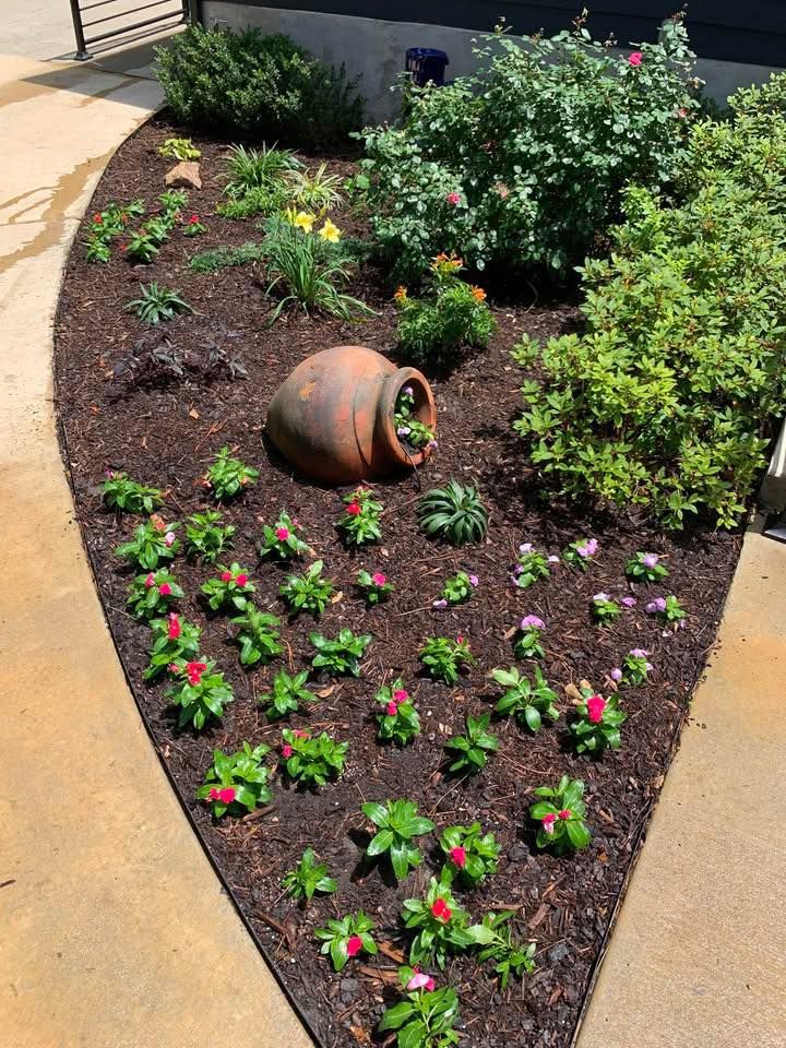  for Arbor Max Solutions in Gun Barrel City, TX