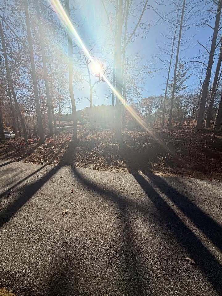  for T Crane Grading LLC in Clarkesville, GA