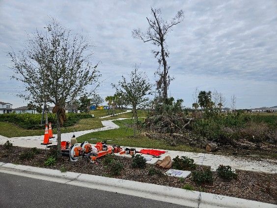  for Bay Area Bobcat in Riverview, FL