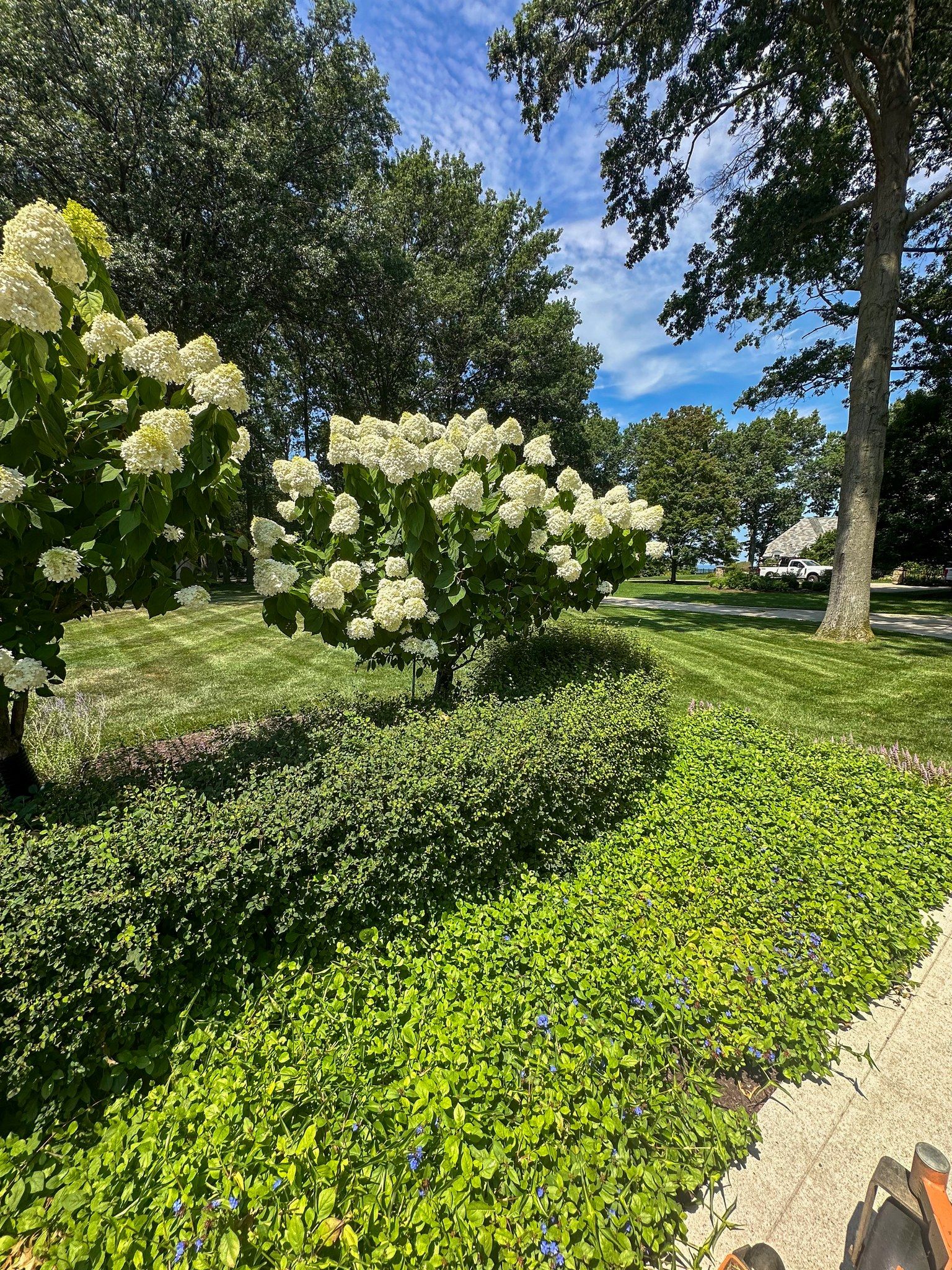  for Newtons Lawncare LLC in North Ridgeville, OH