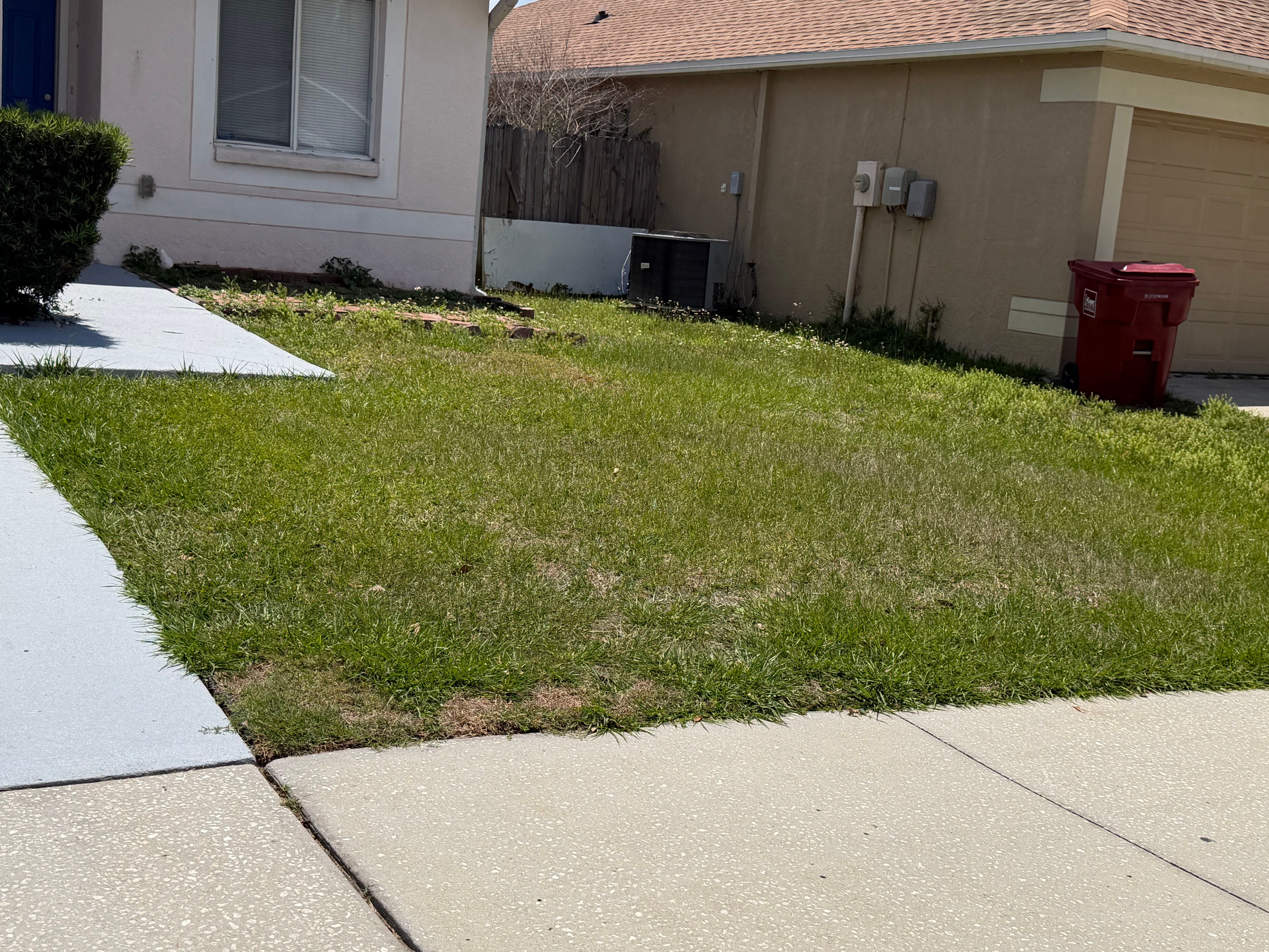  for The Yardman in Tampa, FL