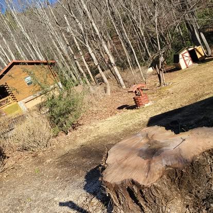  for Lopez Landscaping and Tree Service  in Waynesville, NC