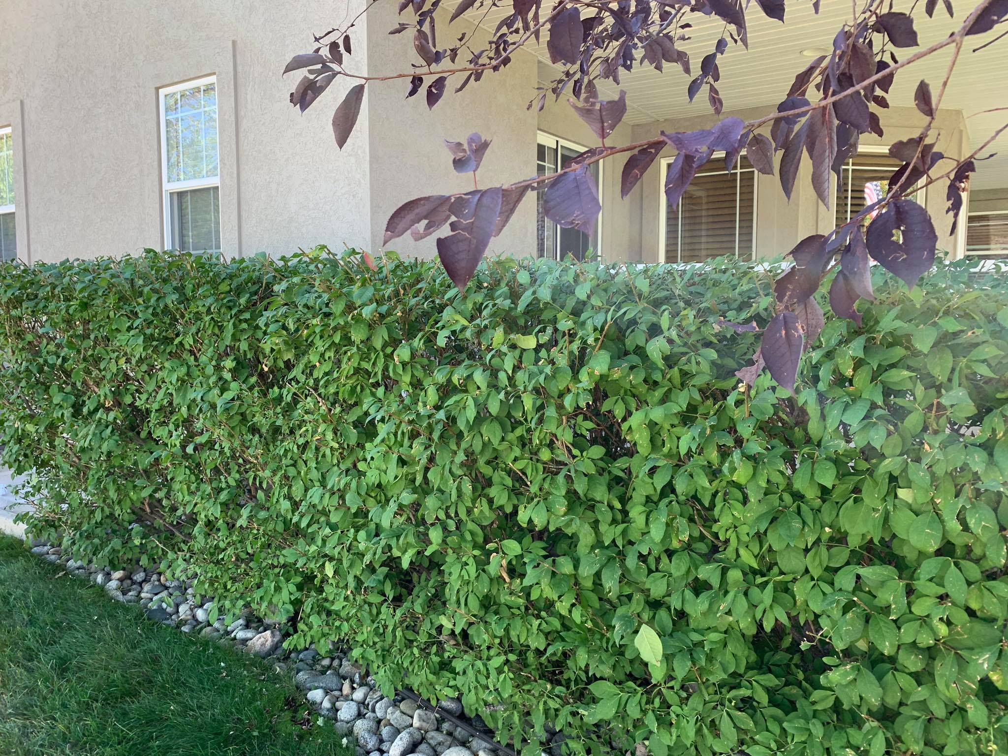  for Rock Masters Inc. in Evans, CO