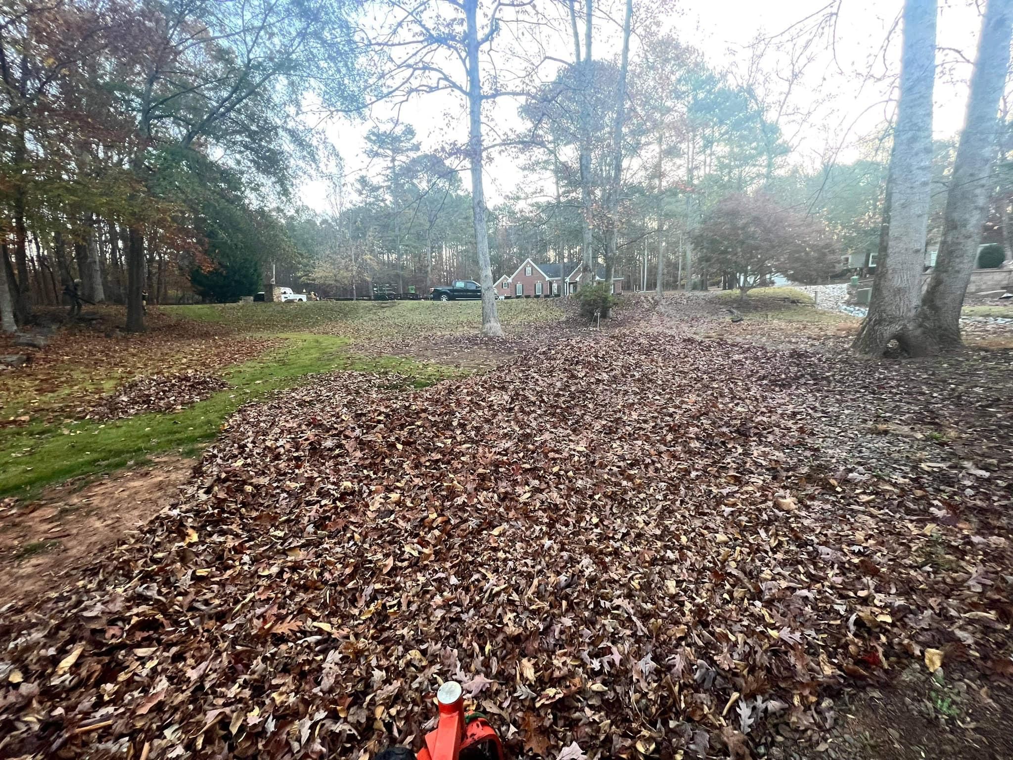 All Photos for Sexton Lawn Care in Jefferson, GA