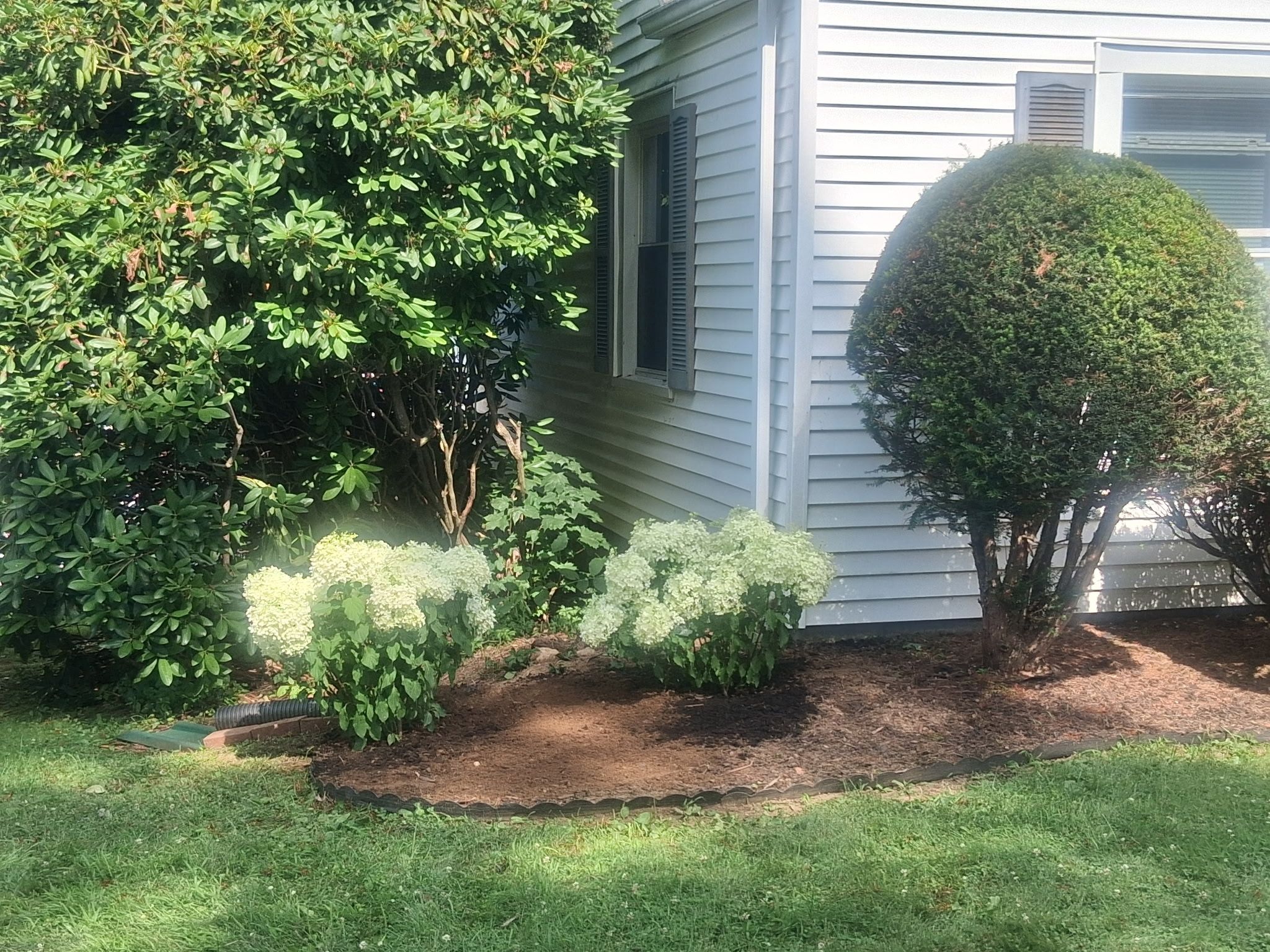 Flower & Tree Planting for Landscape Innovations LLC in Torrington, CT