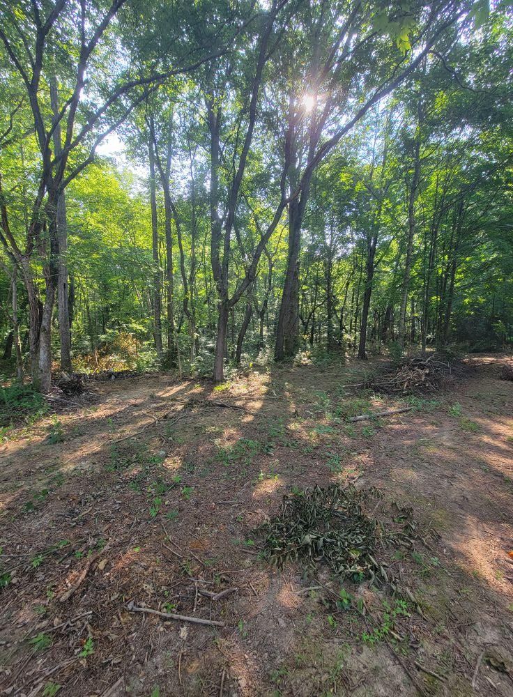  for Z's Land Management & Forestry Mulching in Smithville, TN