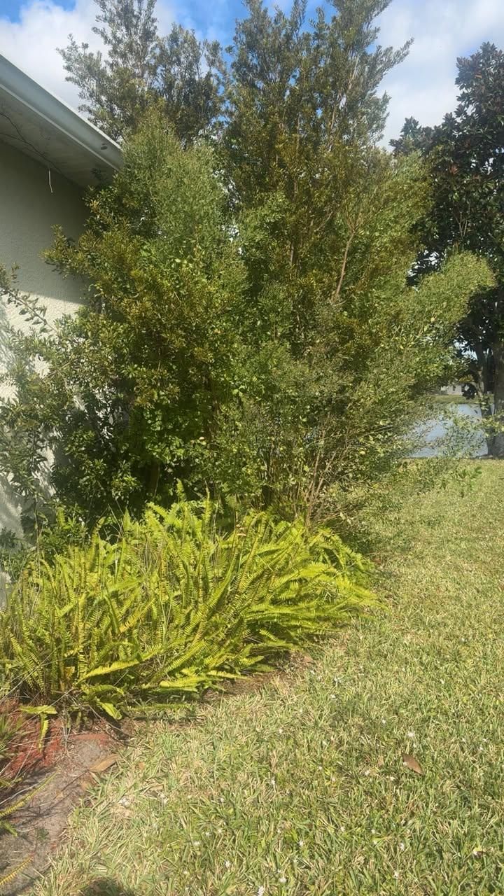  for Space Coast Property Maintenance and Management LLC in Brevard County, FL