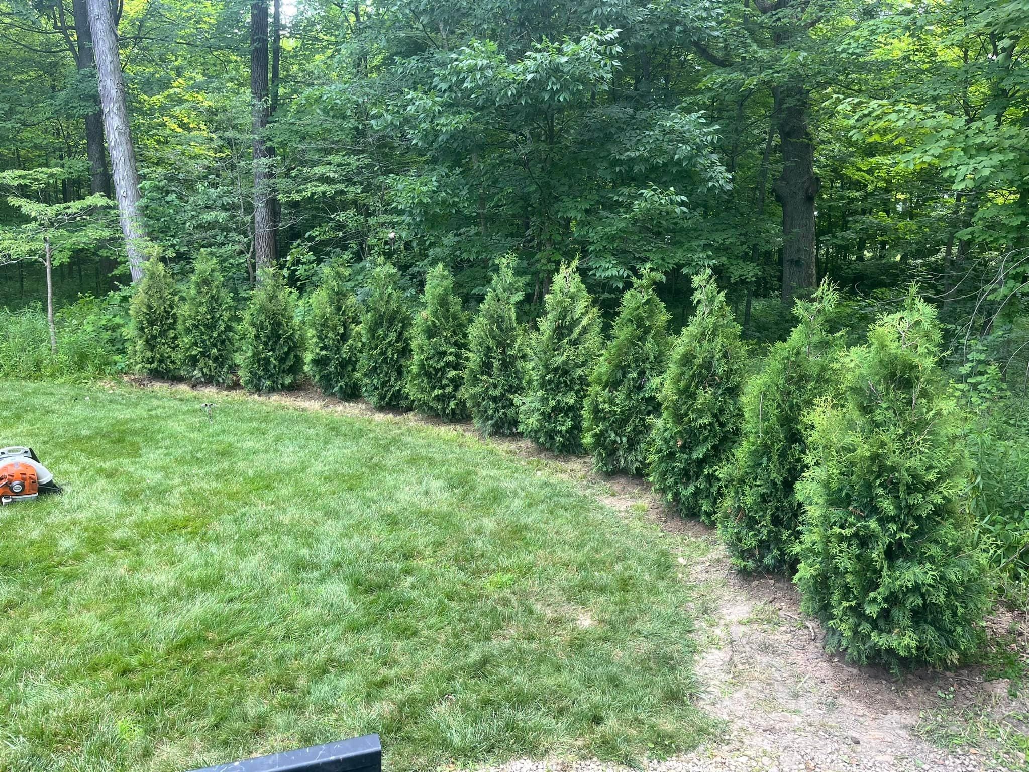  for Higgins landscaping LLC in West Jefferson, OH