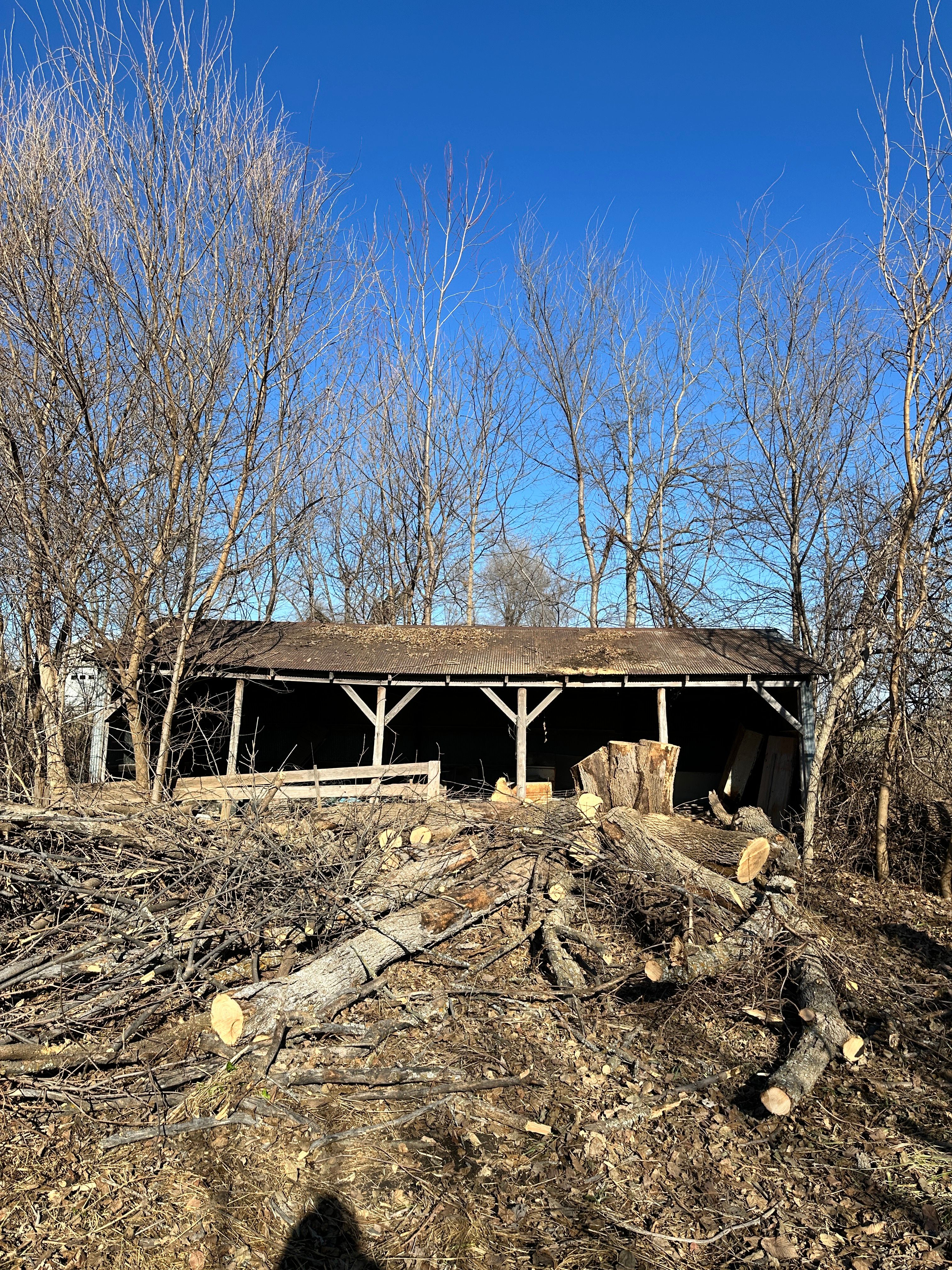 All Photos for Cross Family Tree Service in Kearney, MO