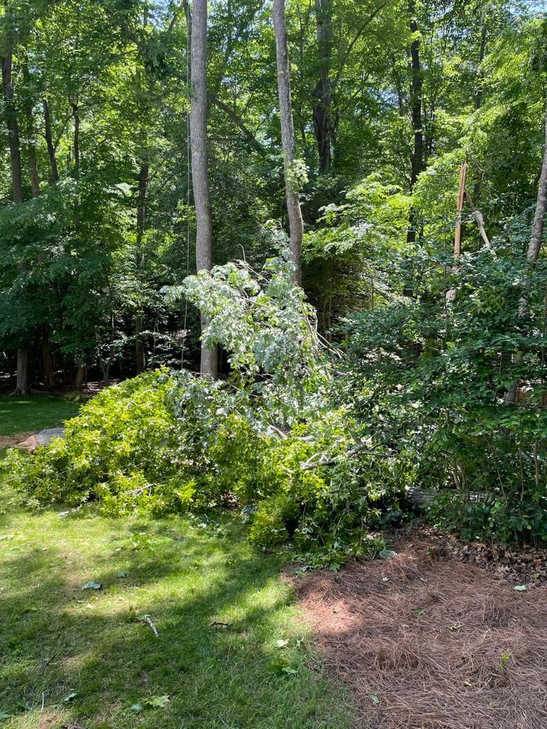 Tree Removal for Rosales Landscaping LLC in Lake Gaston, North Carolina