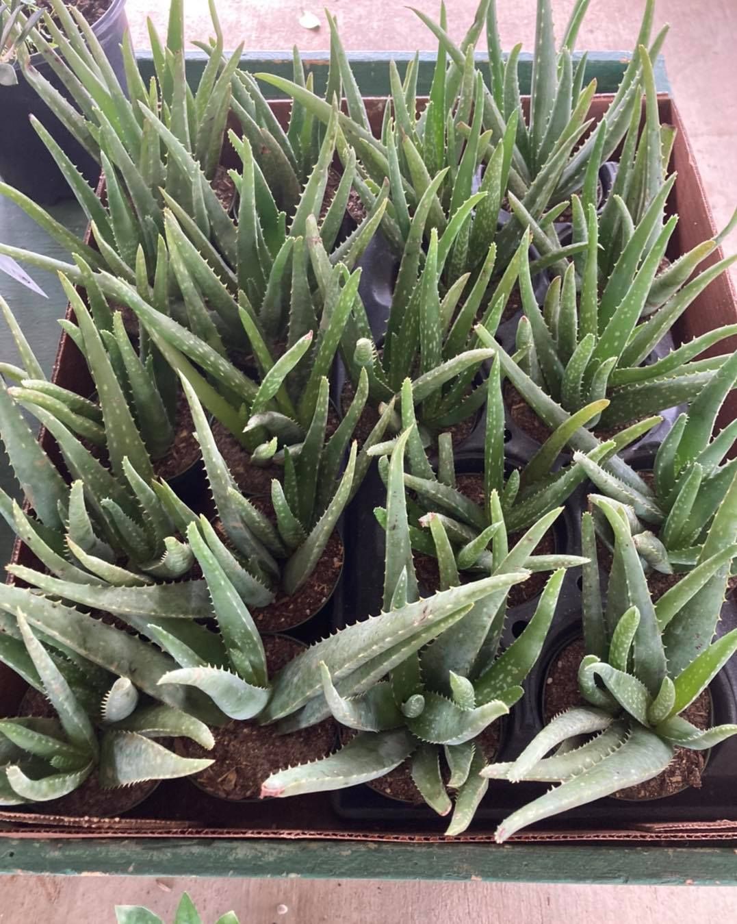 All Photos for S&R Landscaping and Nursery in Charlotte, NC