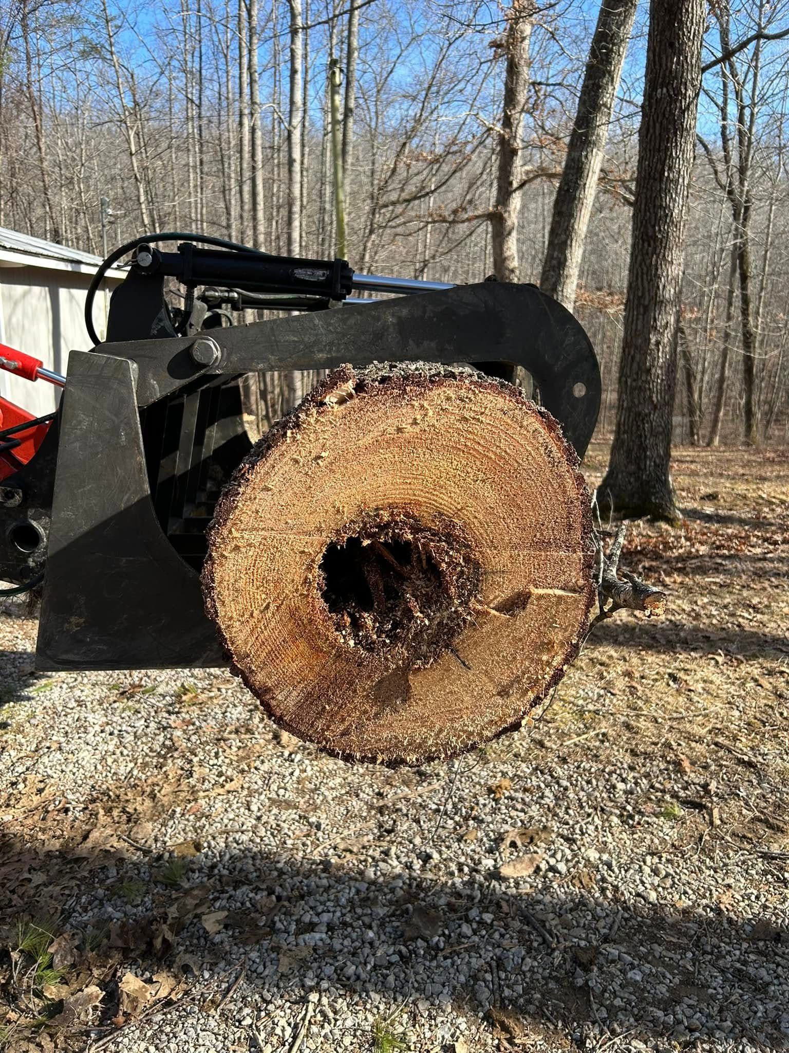 Tree Removal for McBee’s Tree Service in Sewanee, TN