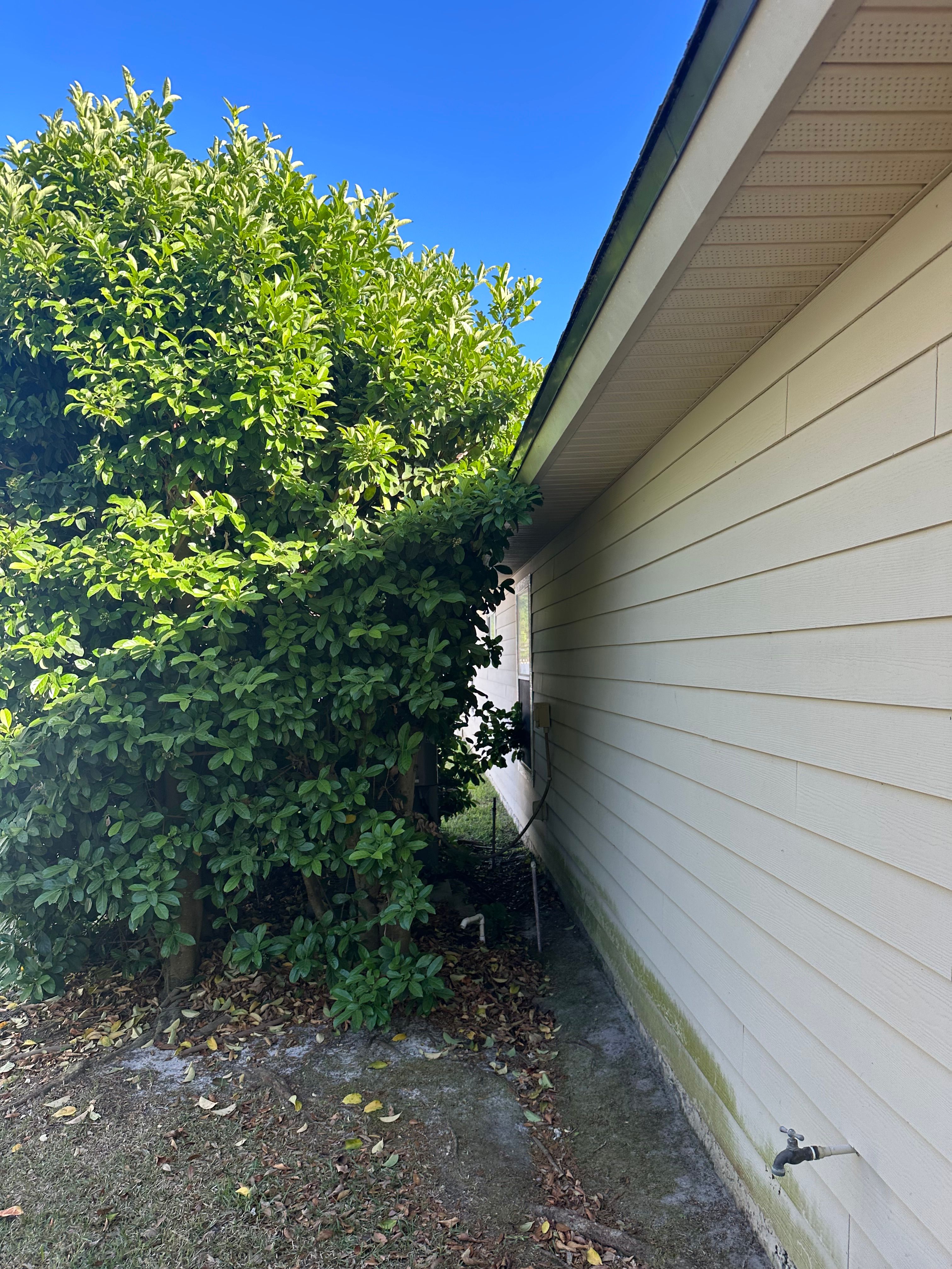 All Photos for All of the Above Landscaping in Orange Park, FL