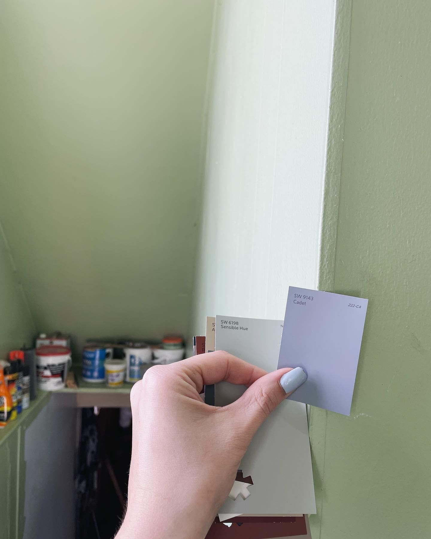  for Apex Painting in Livonia, MI